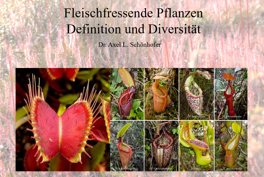 Fleischfressende Pflanzen - Definition und Diversität
